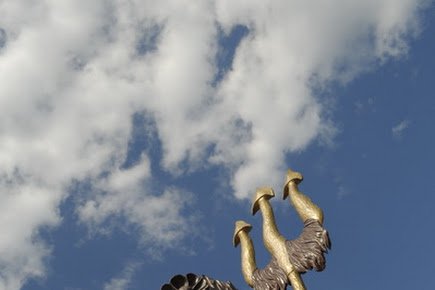 Zdjęcia z Międzyzdrojów