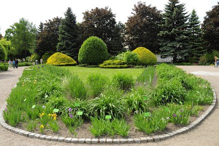 Album zdjęć Ogrodu Botanicznego we Wrocławiu