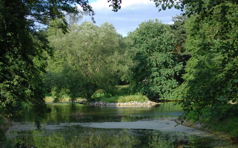 Rzeczka w parku