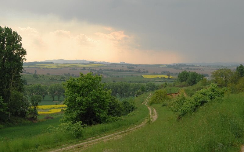 Ziębice - Droga na stare wyrobisko piasku