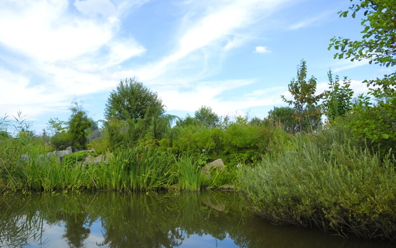Arboretum leśne w Stradomii