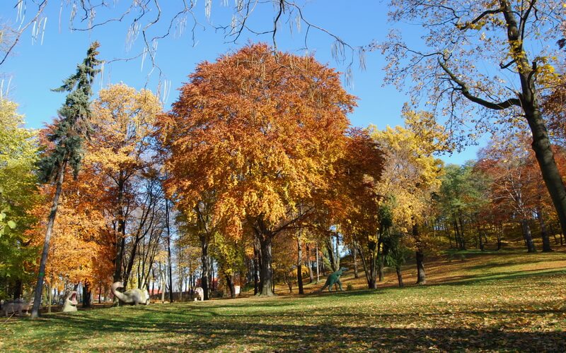 Polska - Ziębice - Park miejski jesienią w tle mini park dinozaurów